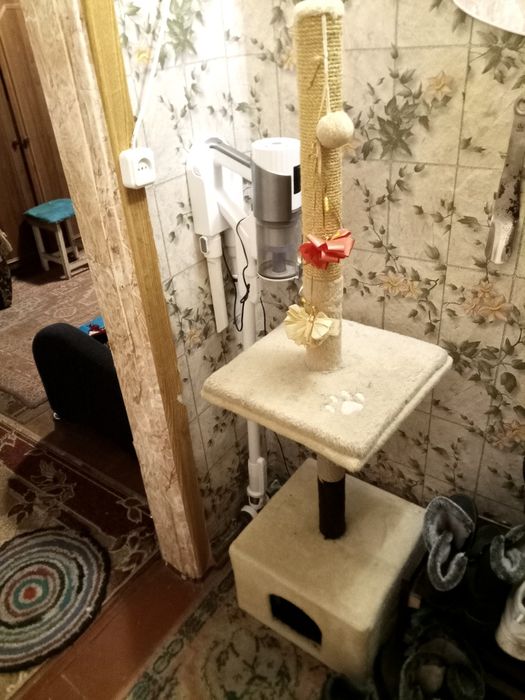 дом для кота возможен торг