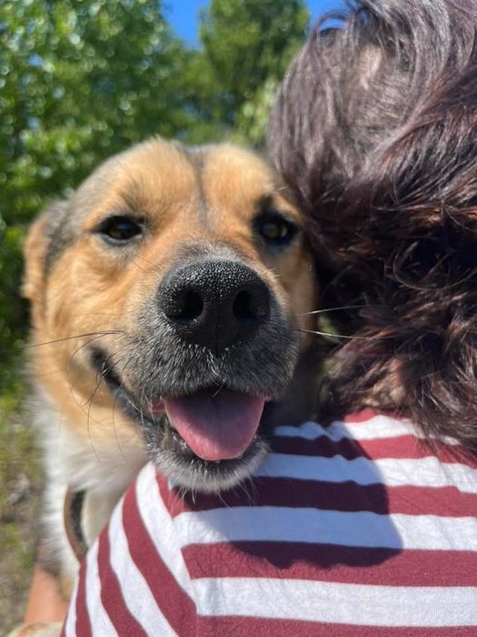 Parys błaga o dom !