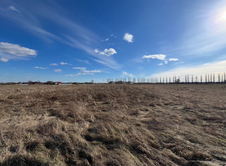 Ділянка під лісом в Микуличі