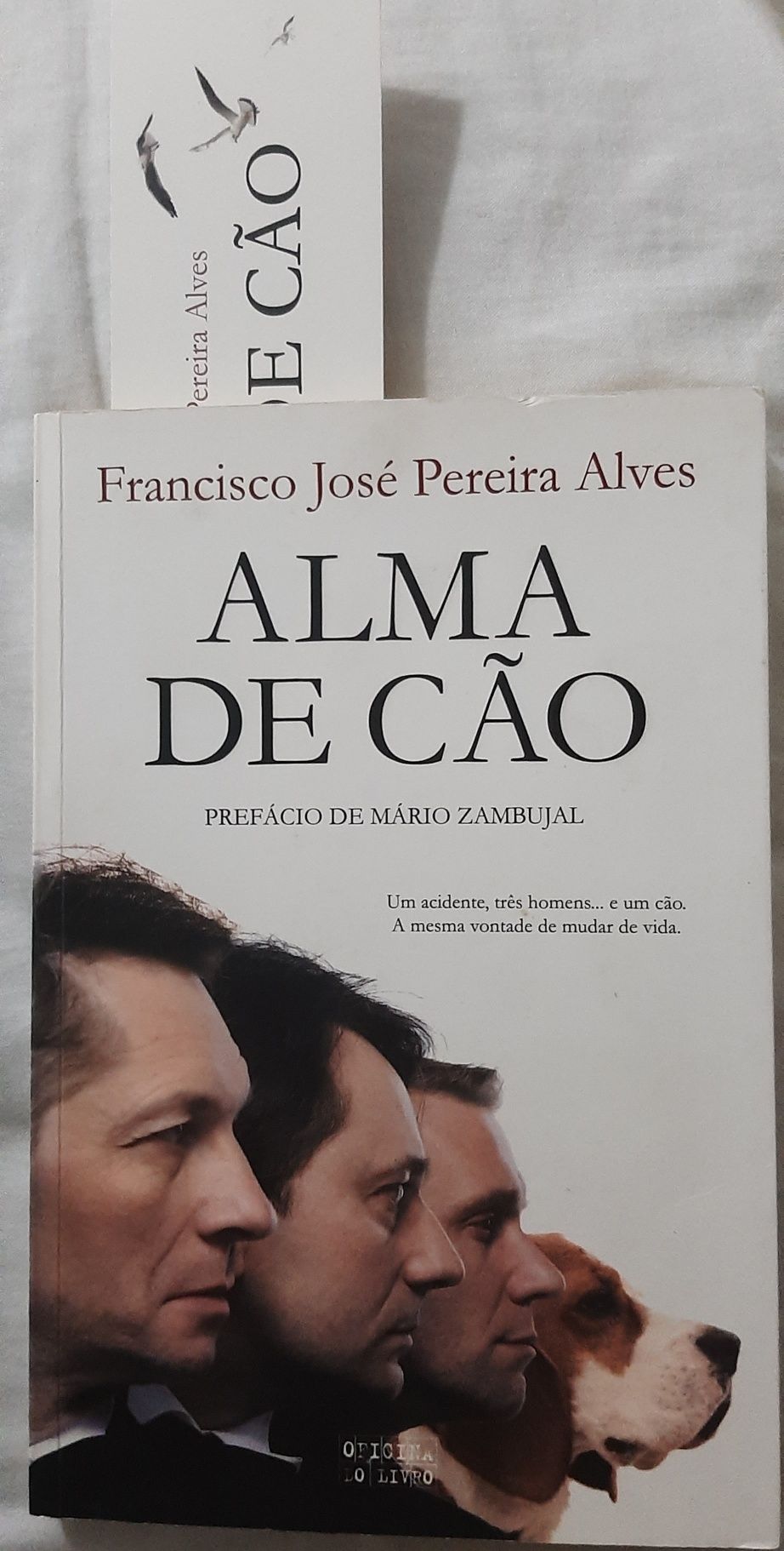 "Alma de cão" (portes incluídos)