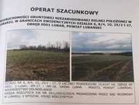 Grunty   orne , Lubań