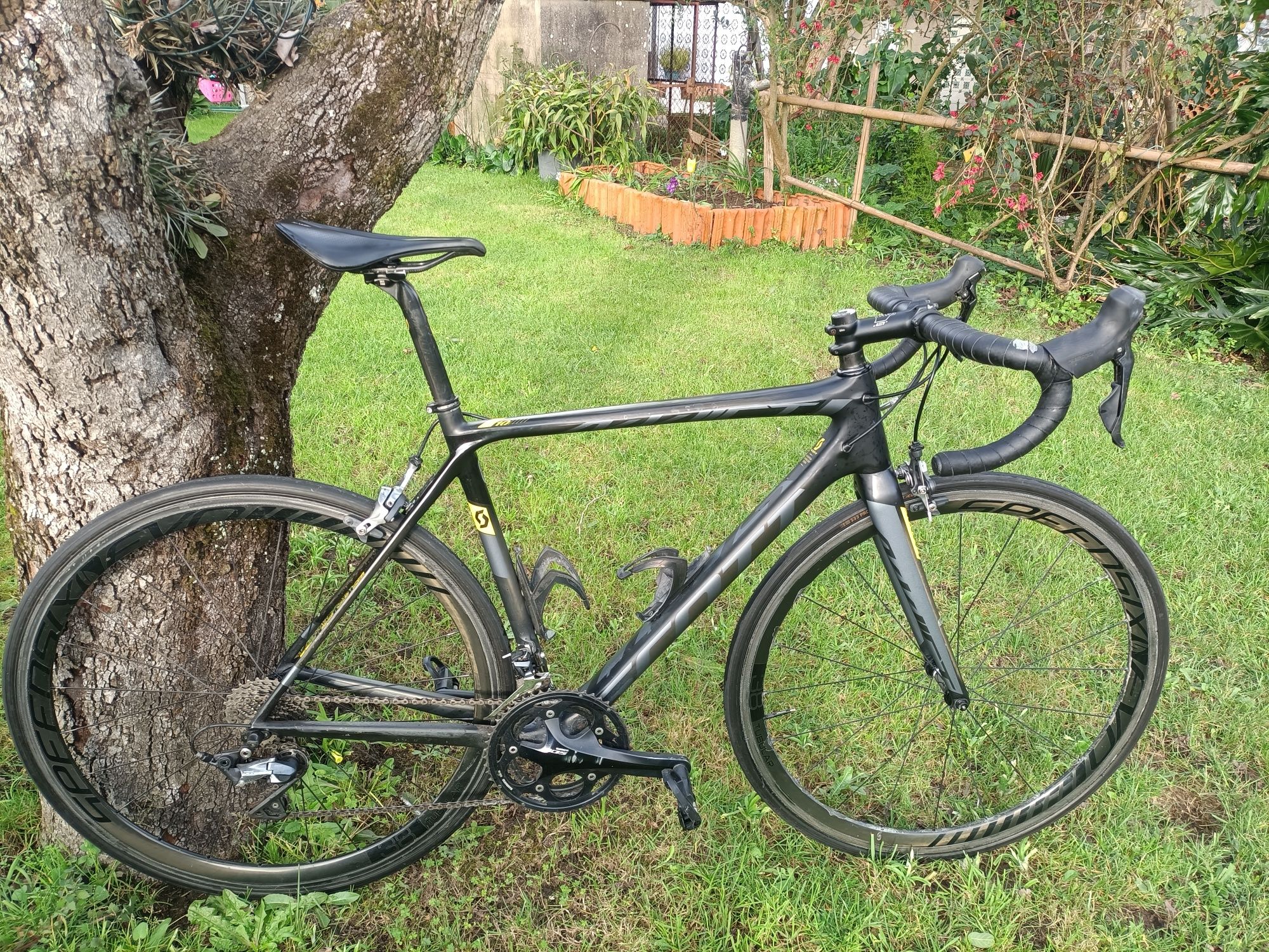 Scott addict 10 carbono