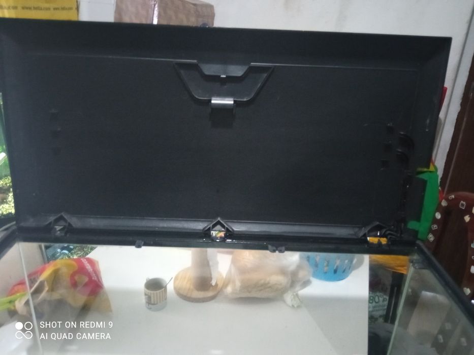 Aquário ciano para peixes ou tartarugas