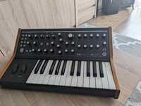 Moog Subsequent 25