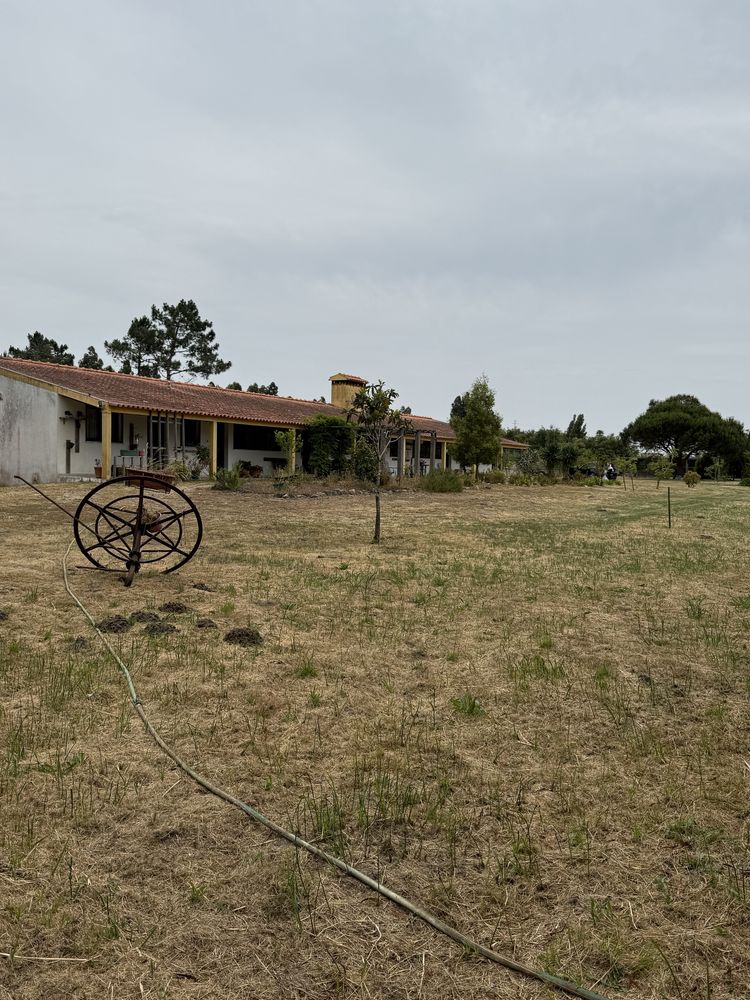 Quinta no Centro de Mira com 10.000 m² – Oportunidade Única!