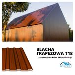 Blacha trapezowa .Blachodachówka Transport gratis.