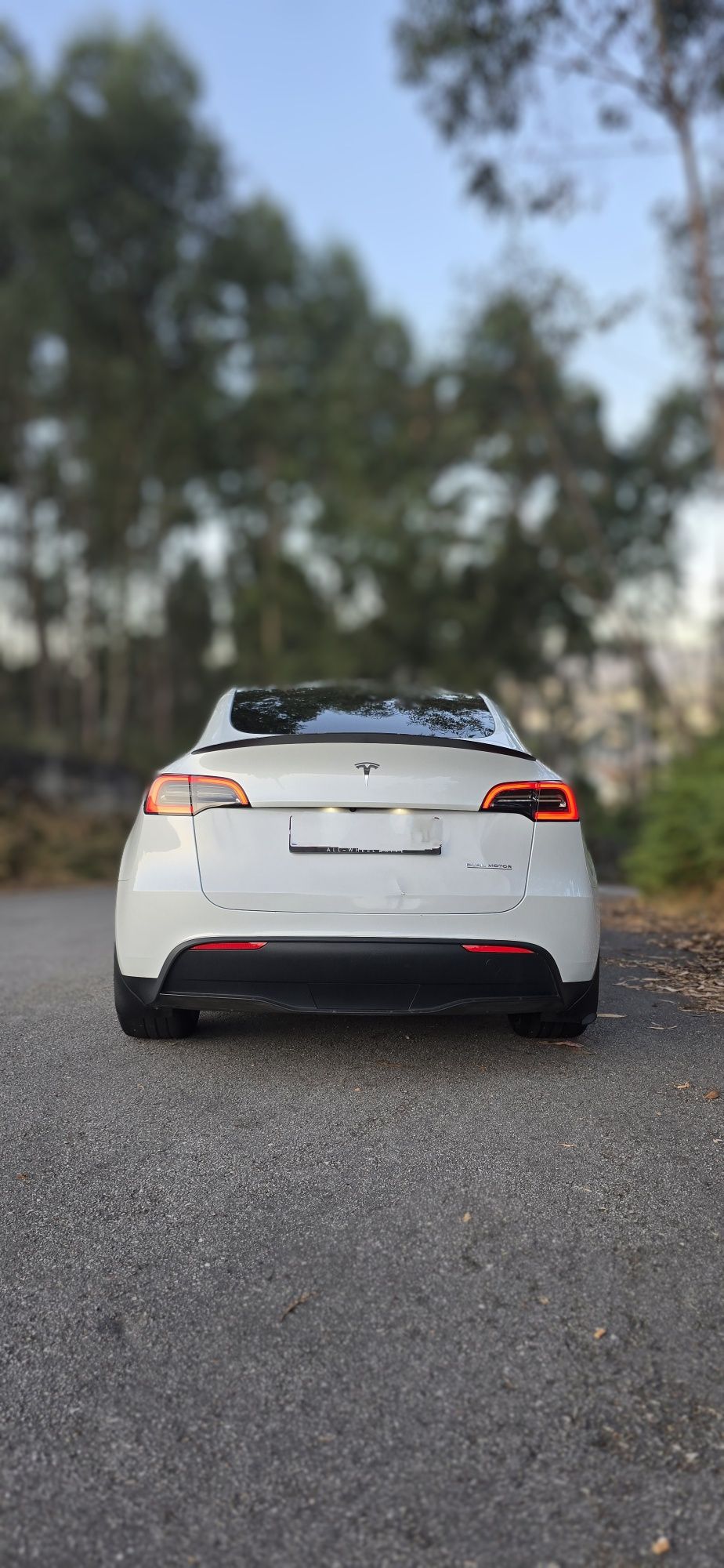 TESLA Model Y Long Range Performance  534cvs AWD