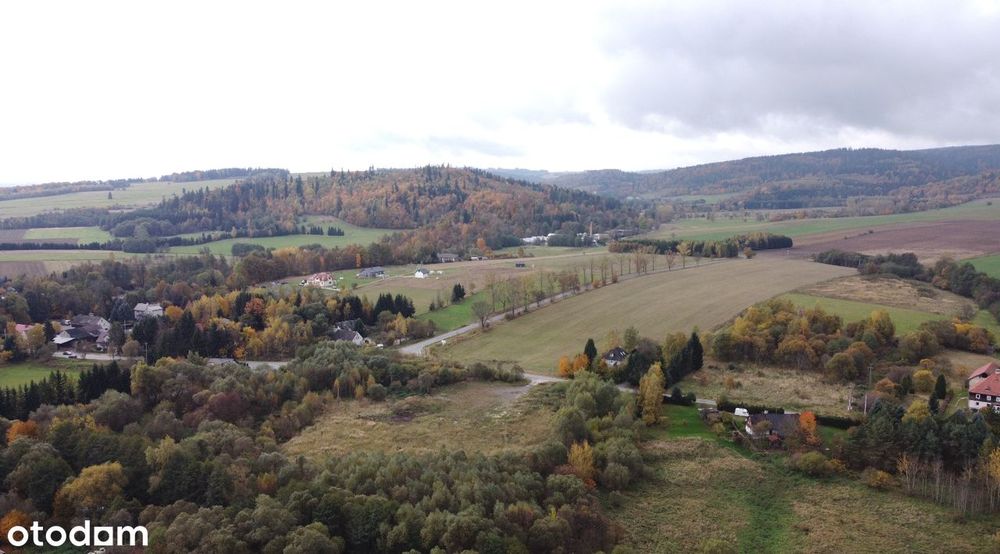 Działka w rejonie górskim blisko Śnieżnika