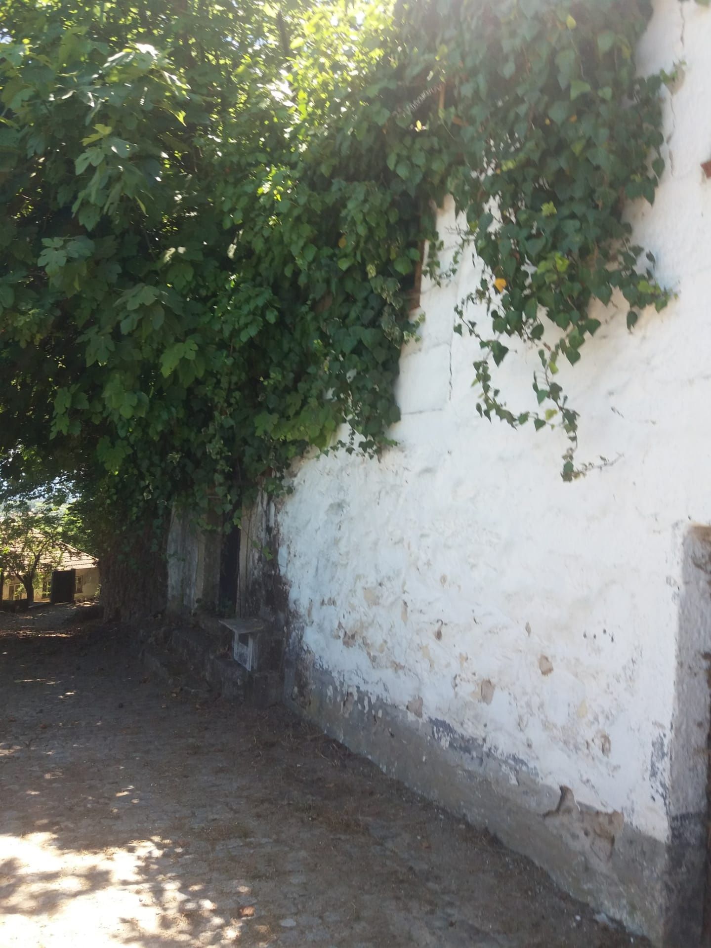 Canedo de Basto - Casa para Recuperar - Reconstruir