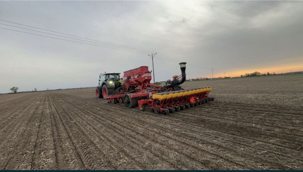 Siew pasowy strip-till Czajkowski
