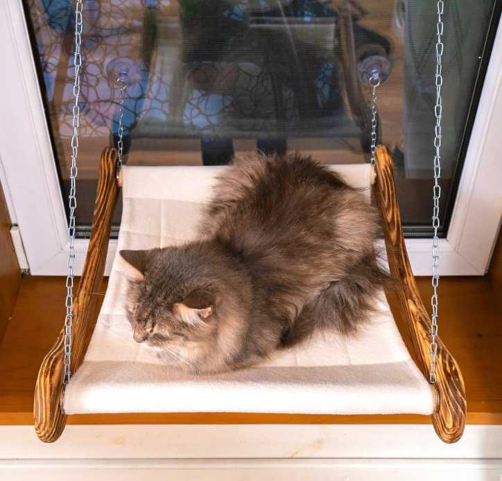 Hamak dla kota na okno POWYSTAWOWY
