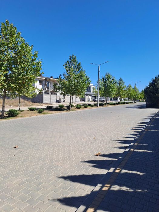 Червоный хутор/Дайберг участок