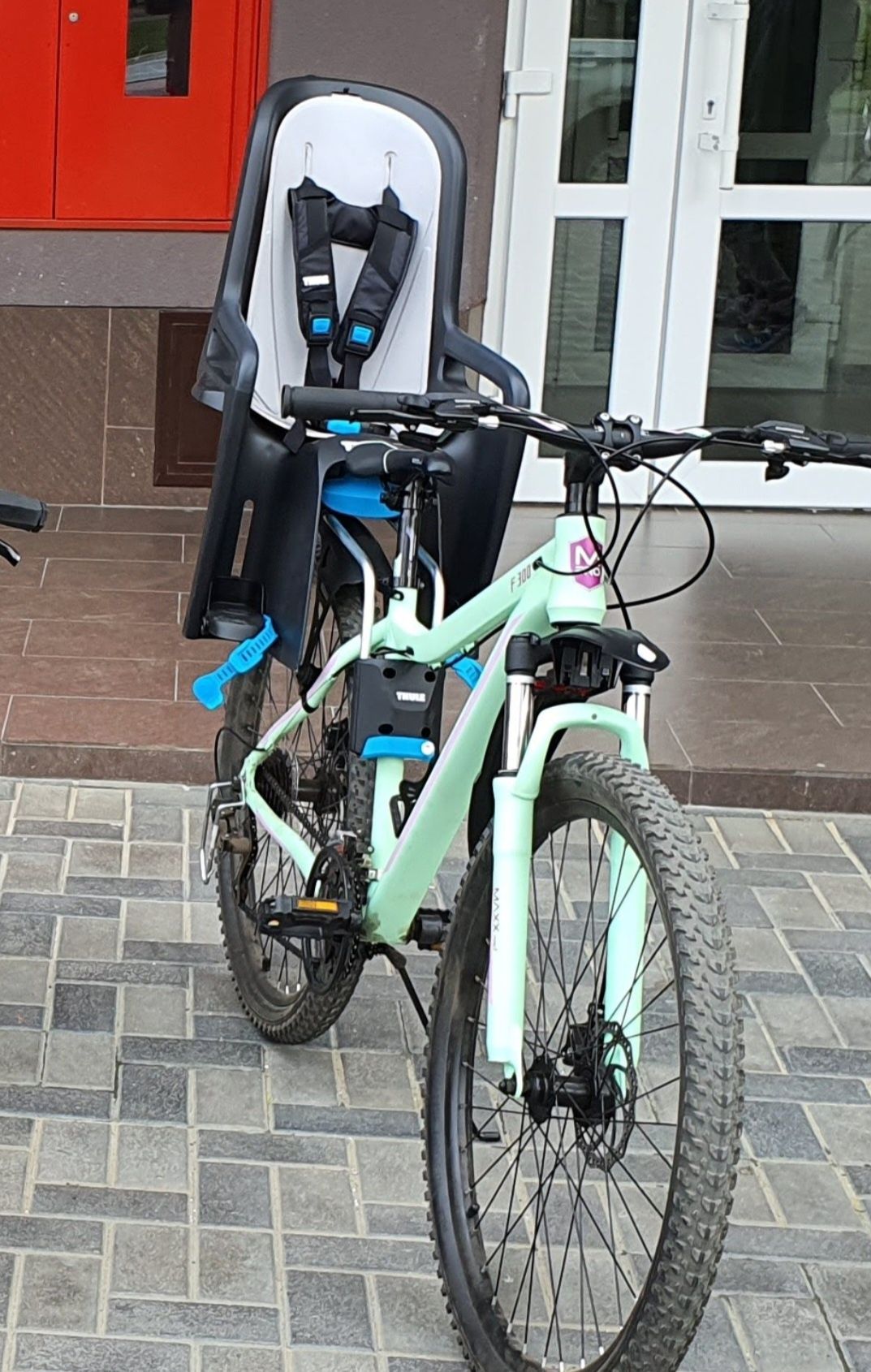 Велокрісло Thule RideAlong Dark Grey (TH100106)