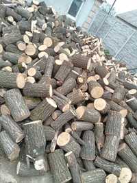 Продажи  дров твердых пород