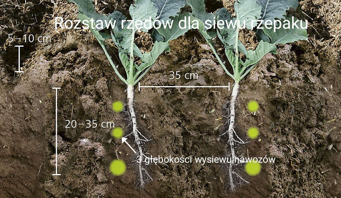 Strip Till Siew pasowy siew bezorkowy Horsch Focus