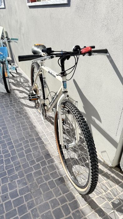 Bicicleta para jovem e adulto
