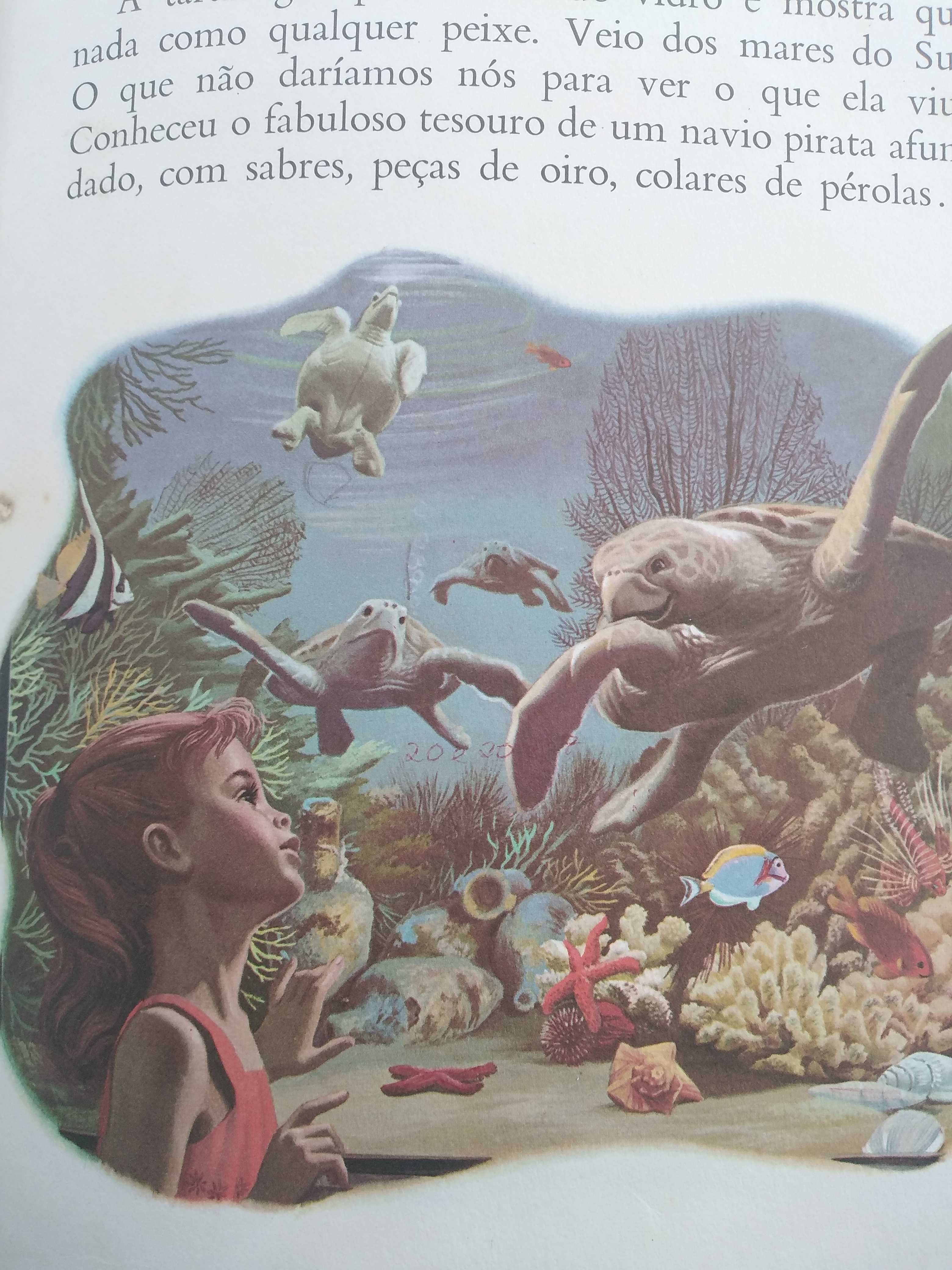 Livro Anita no Zoológico