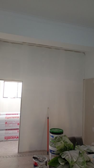 Pintor profissional