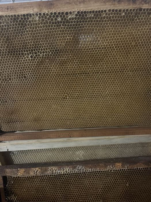 Продам суш рамка 300 дадан