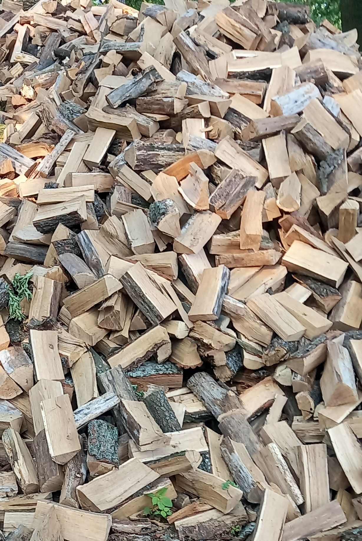 Продам дрова Сосна Дуб для опалення
