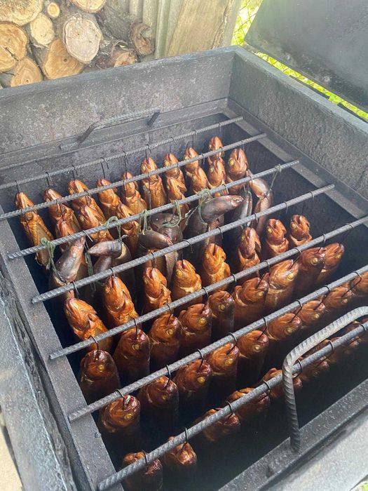 Pieczone Dziki Prosiaki Indyki wiejskie stoły na wesela i imprezy
