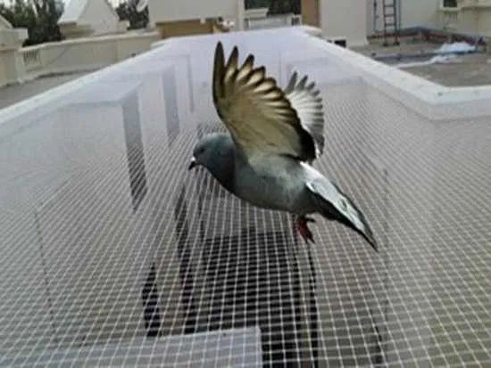 Siatka dla kota, siatka przeciw ptakom, siatka na balkon, wioliera