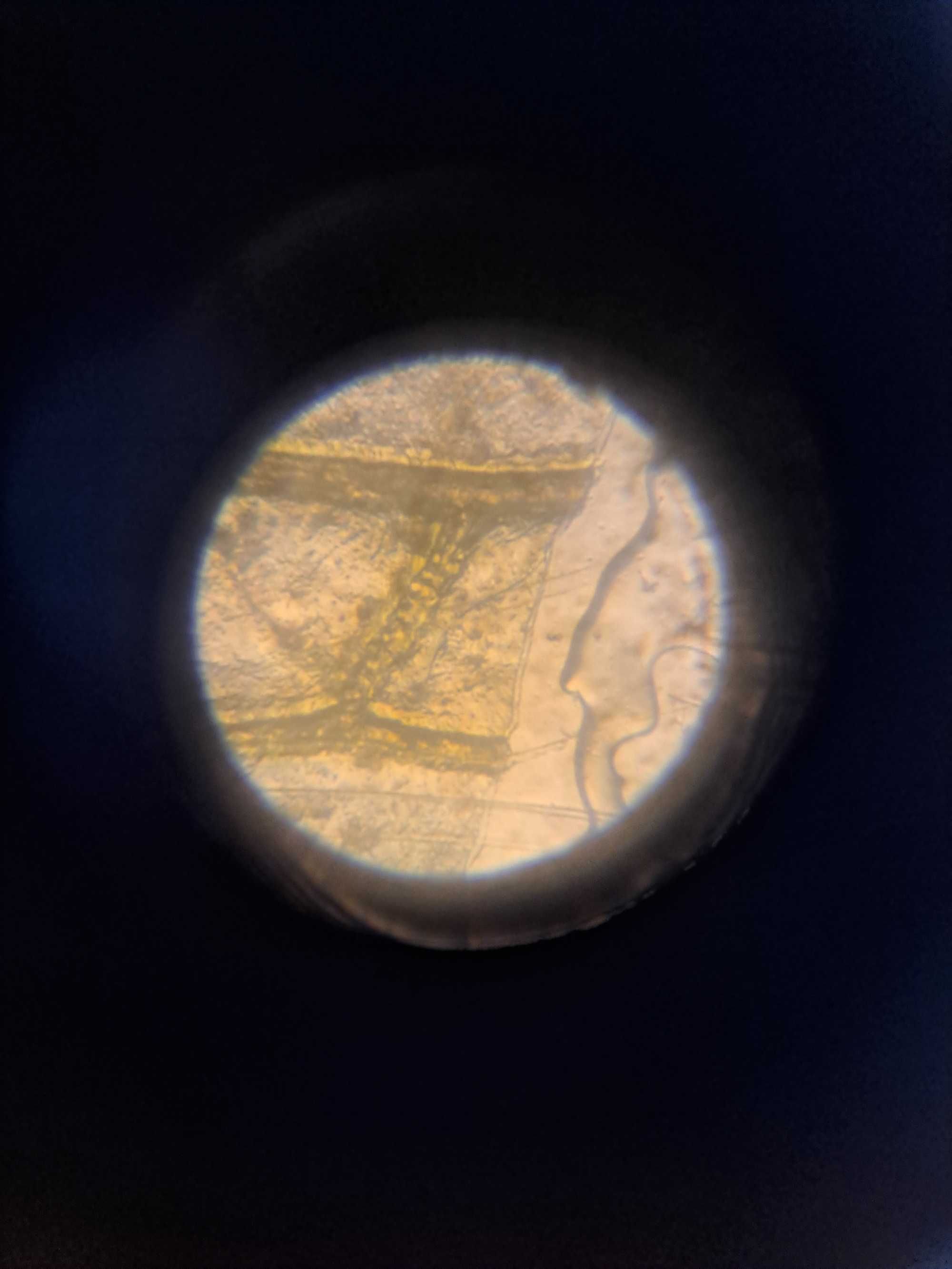 Zestaw mikroskopowy