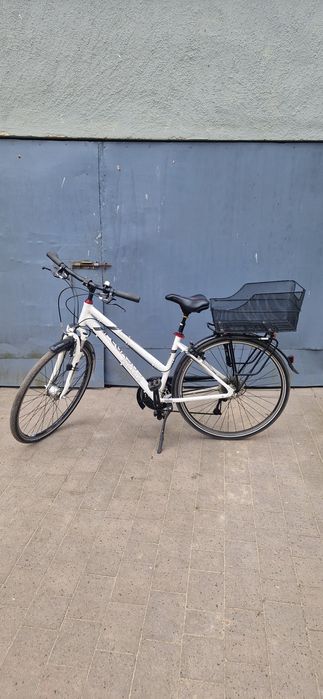 Pegasus Solar 28"