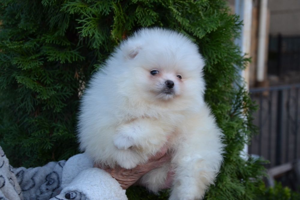 Гарний хлопчик  з документами