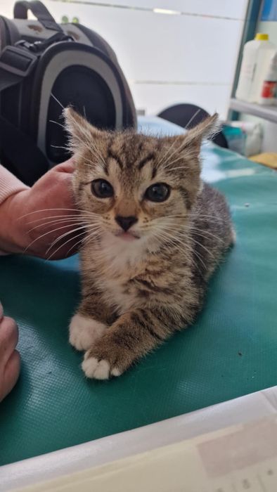 Mini - ona czeka na ciebie