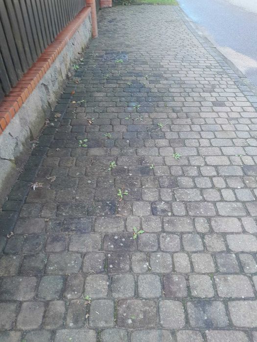 Profesjonalne mycie kostki brukowej, elewacji, dachów. Fugowanie.