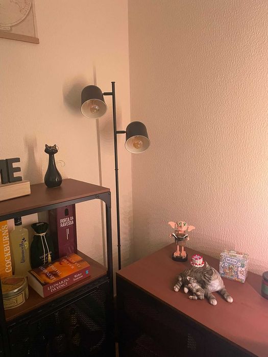 Candeeiro preto alto com 2 focos