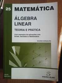 Livro Álgebra Linear Teoria e Prática