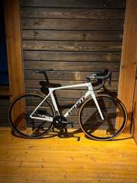 Giant TCR Advanced Disc