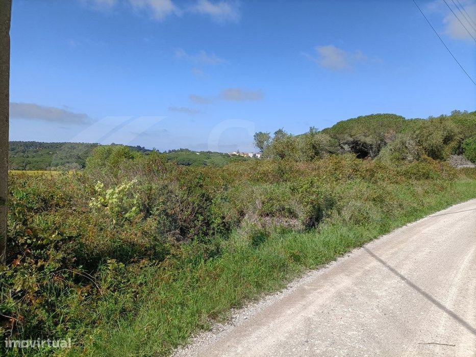 Terreno rústico para plantio de vinha e outras culturas