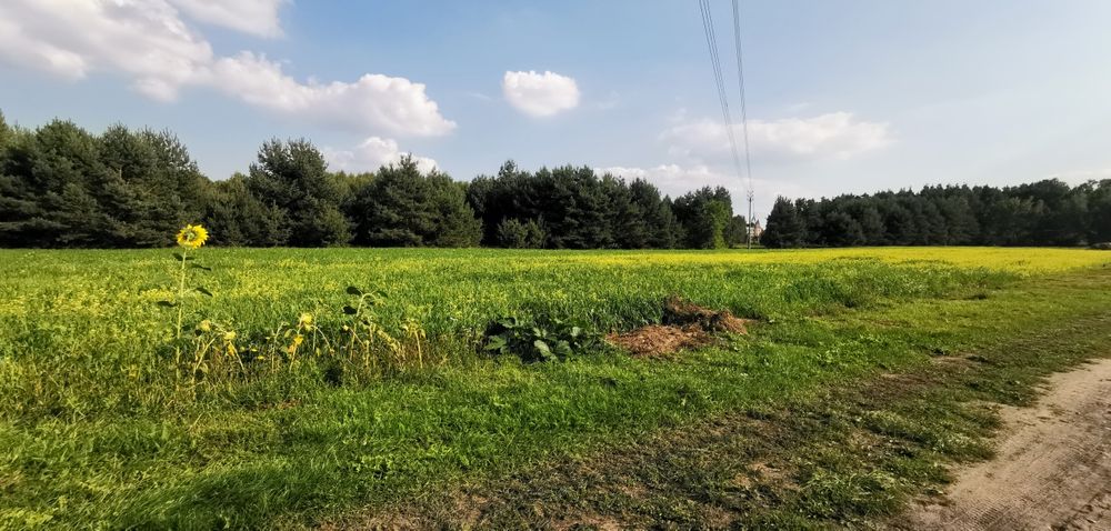 Działka budowlana 2000m2