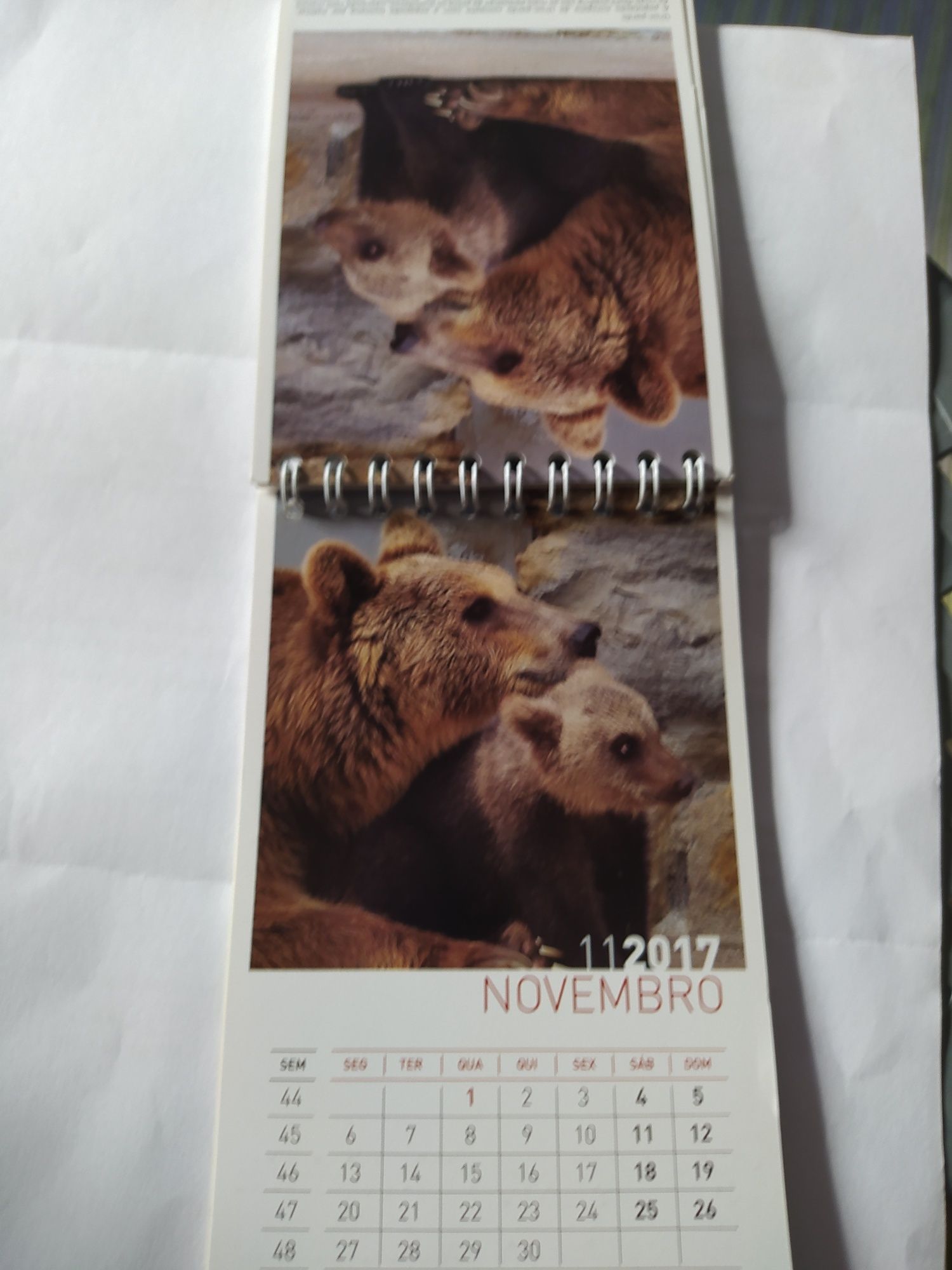 Calendário animais jardim zoológico