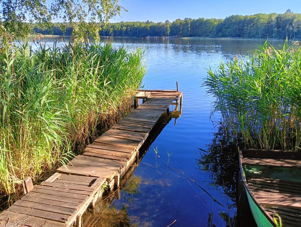 Domek letniskowy nad jeziorem do wynajęcia