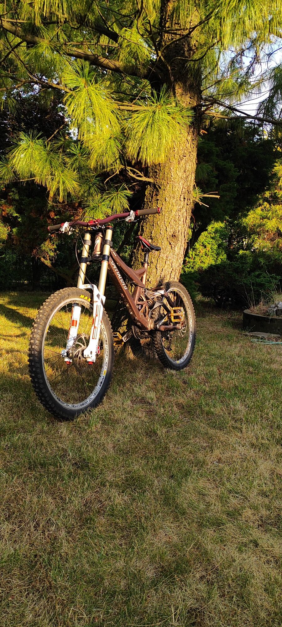 Specialized Demo 8 II