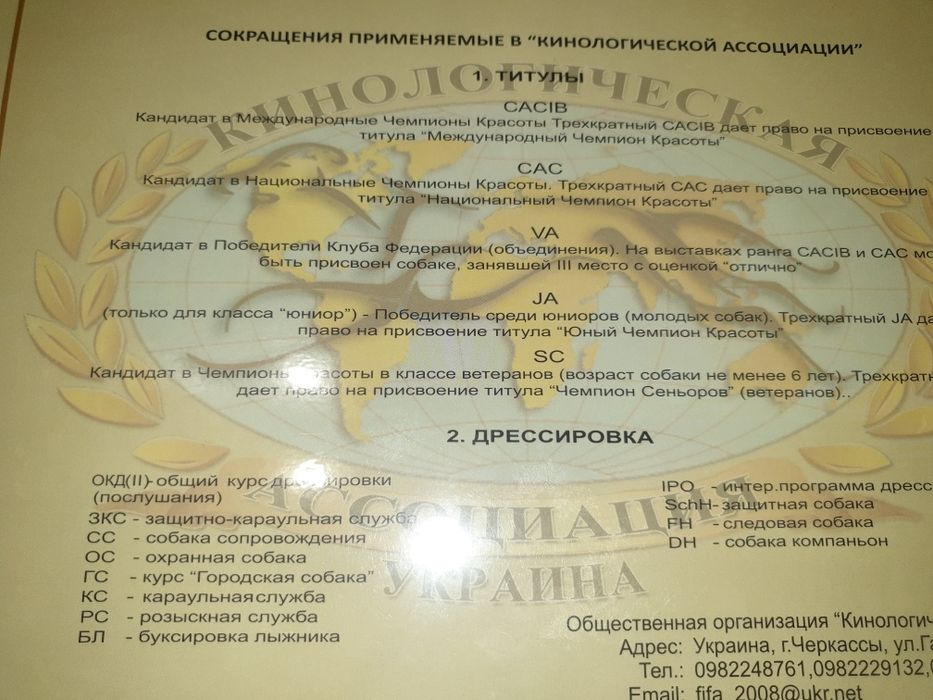 Вязка немецкой овчарки