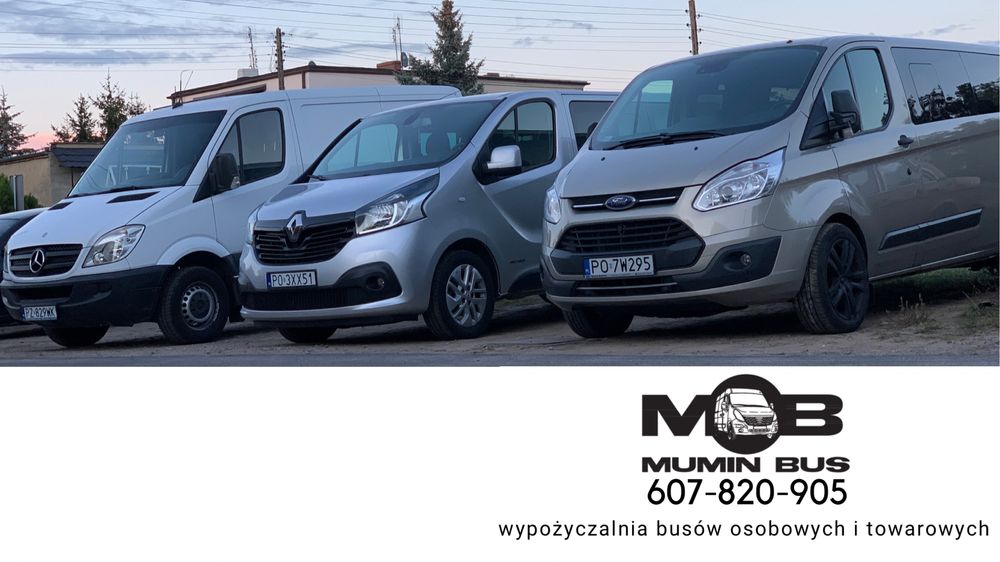 Wynajmę busa dostawczego Mercedes Sprinter blaszak VAN MUMIN BUS