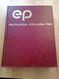 Encyklopedia popularna PWN, 1992