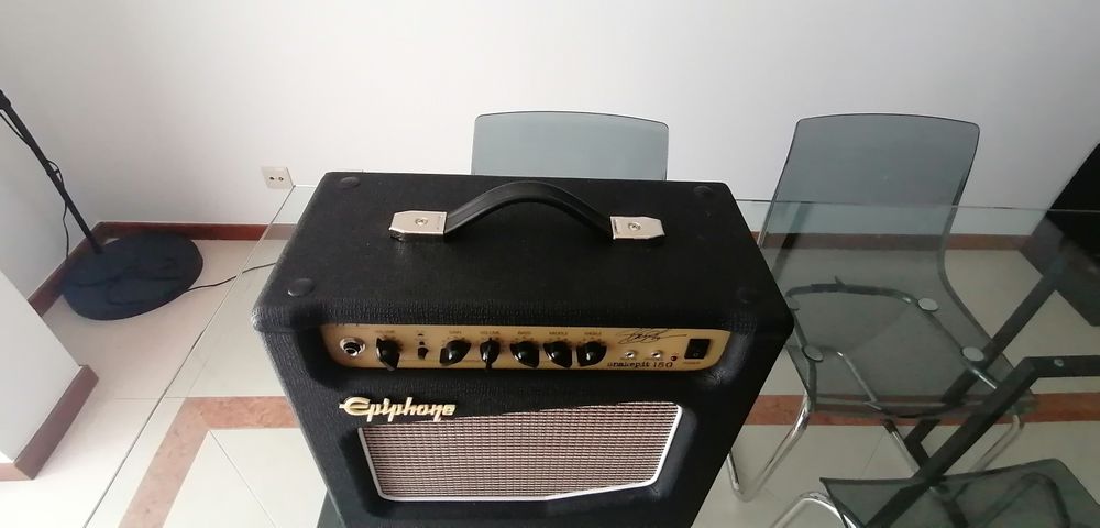 Epiphone Slash SnakePit 15G