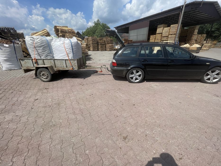 Kora sosnowa! Promocja!