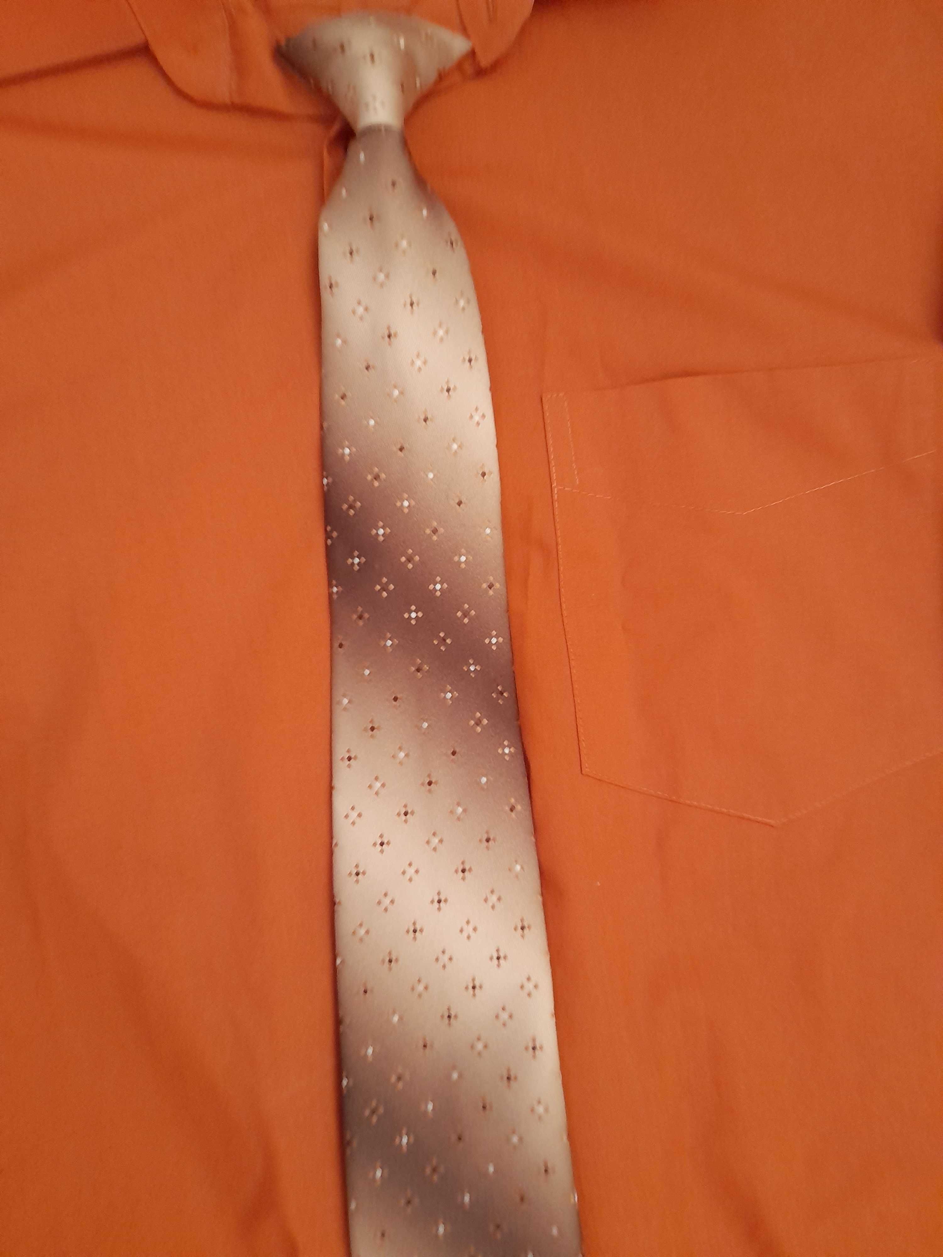 malinex koszula +krawat