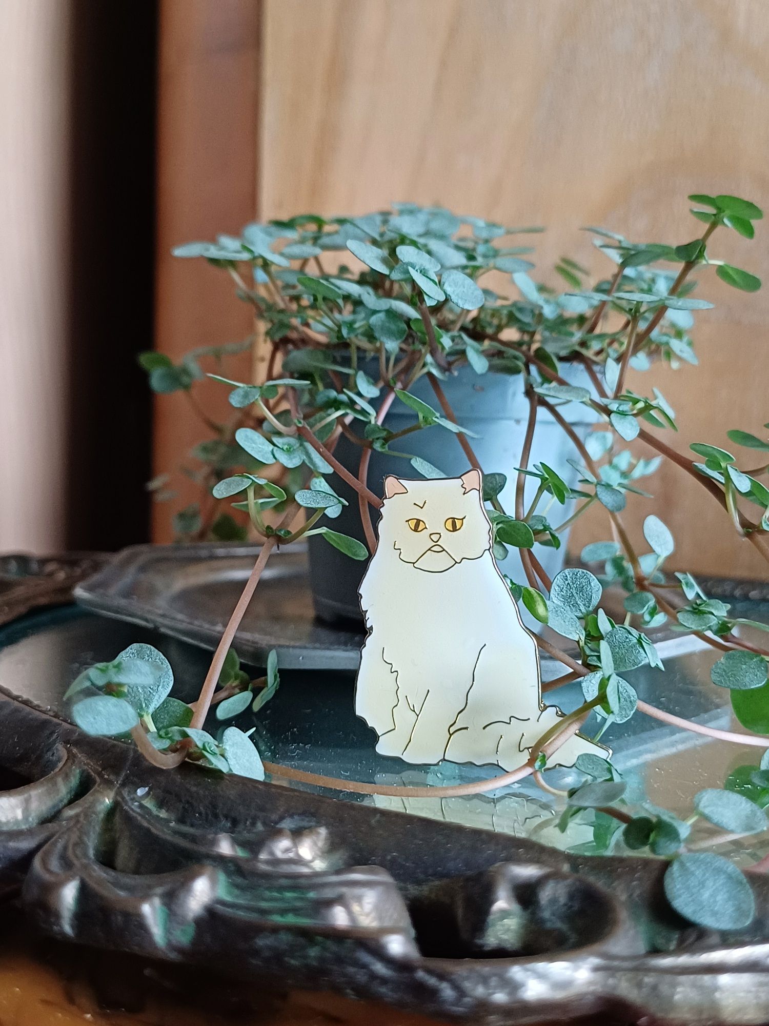 Broszka pers kot perski kotek przypinka atlas persan