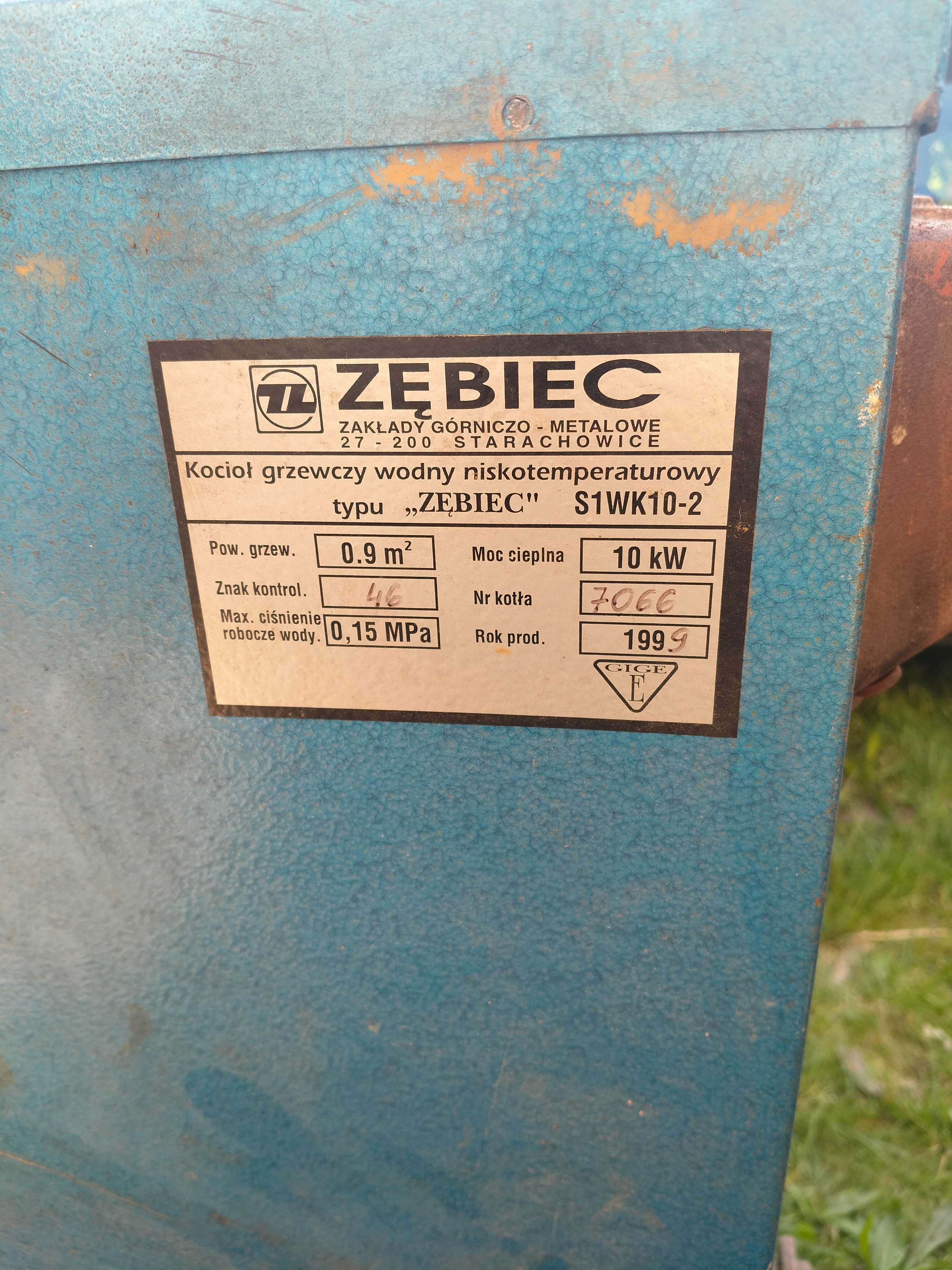 Piec zębiec do co