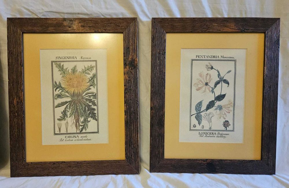 Quadros com motivos florais exóticos