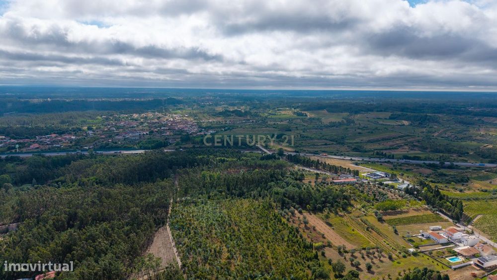 Lote de Terreno na Silvã – Mealhada