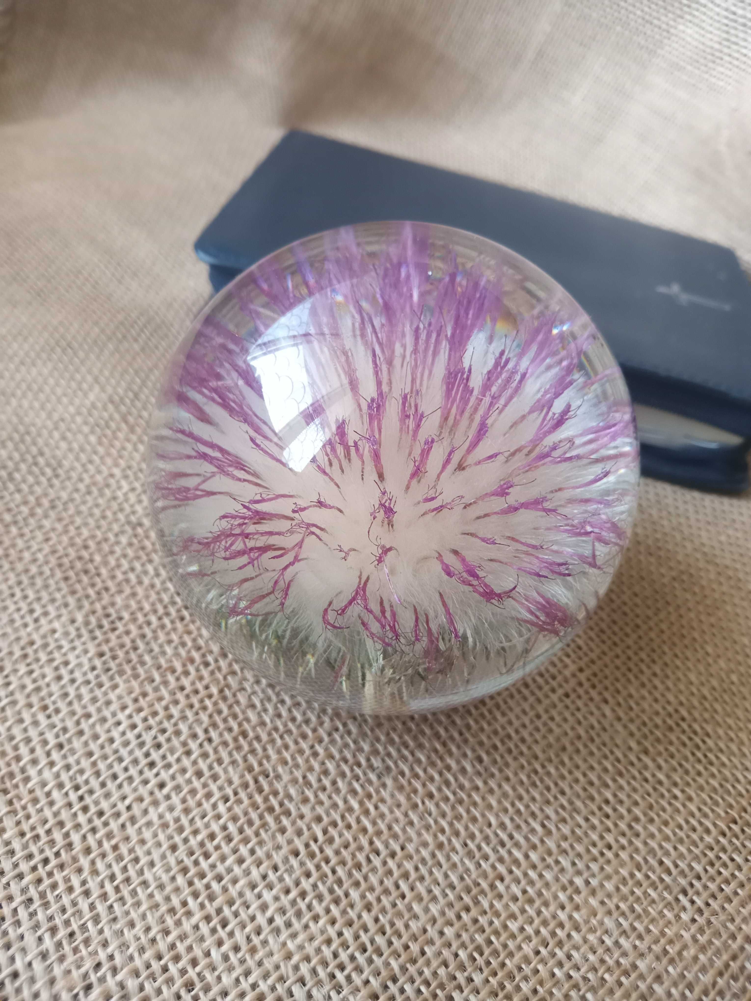 Подарок Пресс-папье чертополоха. Оригинал Hafod Grange Paperweights.